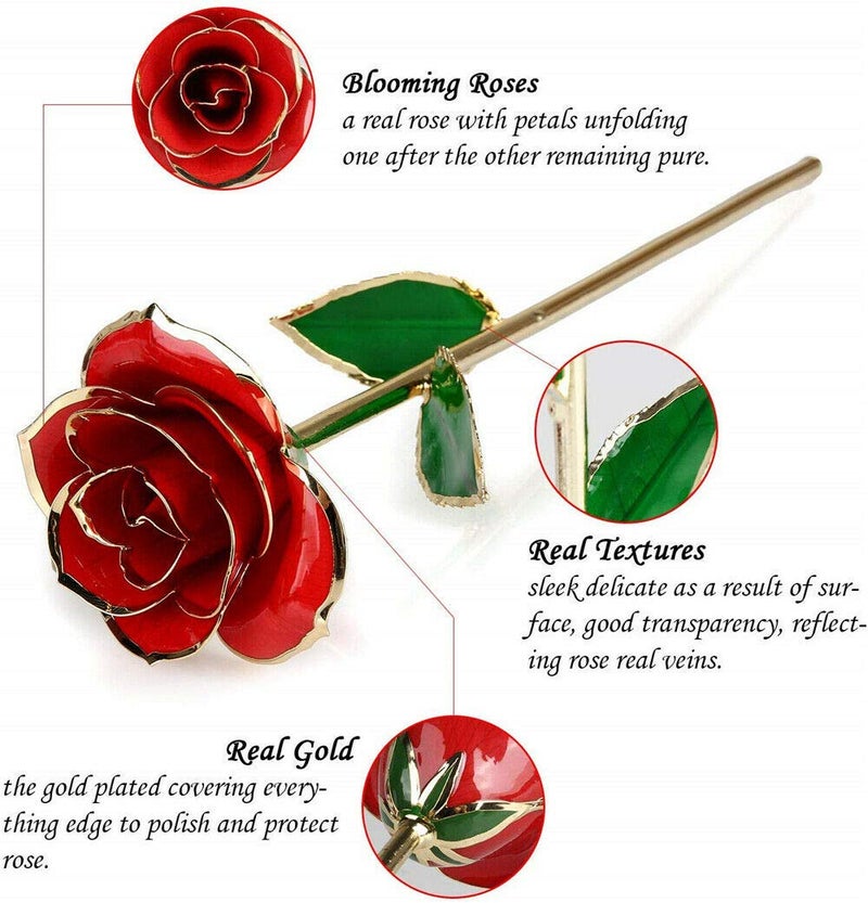 ENJOYPRO Valentines Day Gifts for Her, Real Rose Dipped in 24K Gold, Preserved Rose Flower, Golden Dipped Rose for Valentine's Day, Mothers Day, Wedding - Image 5